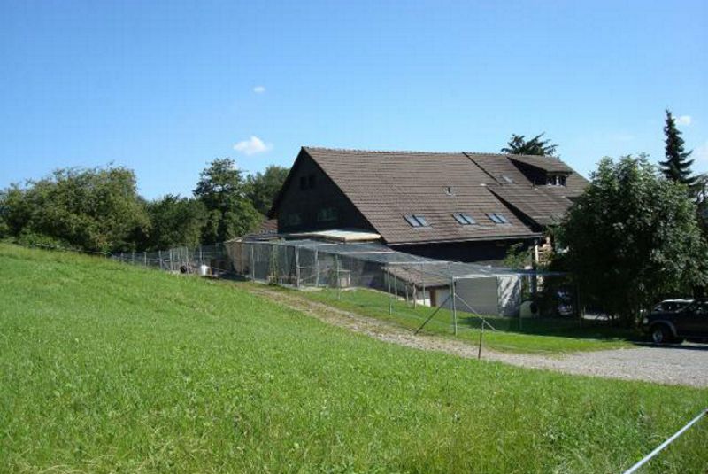Tierheim