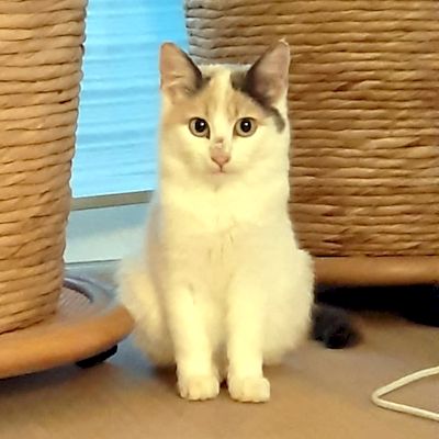 Evangelina 30.01.23_1