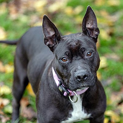 Sandra Ardizzone Photography