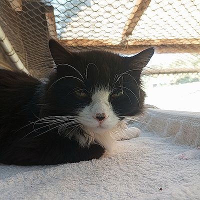 Kopernikus1 22.08.25