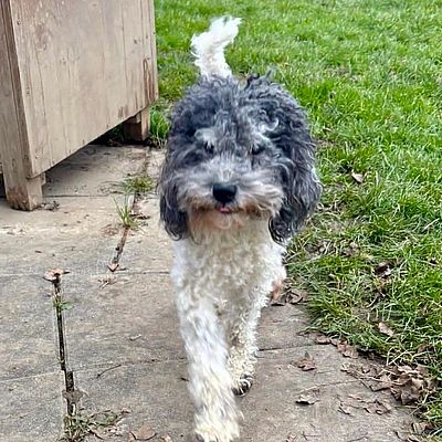 Vincenzo 04.12.25_02