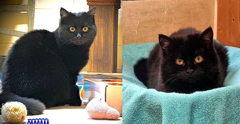 Ginny + Georgina 14.01.26