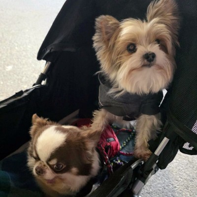 Happy und Bella 12_25