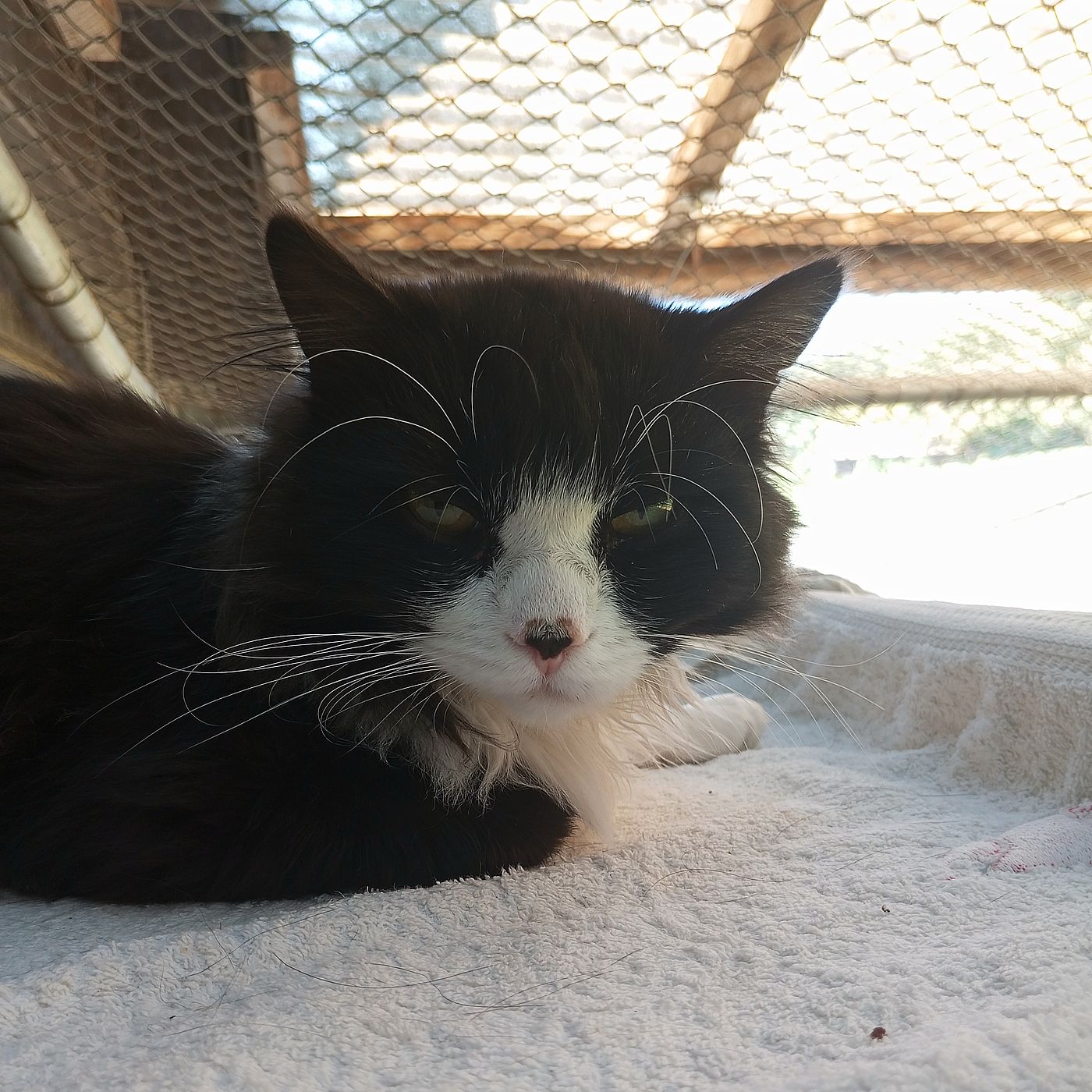 Kopernikus1 22.08.25