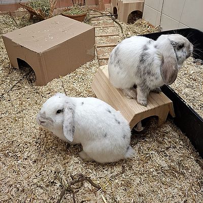 Pünktchen+Anton2 16.04.26